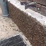 Каменные ковры для цоколя и дренажной зоны: оттенки коричневого от Budap / Камяний килим Budap